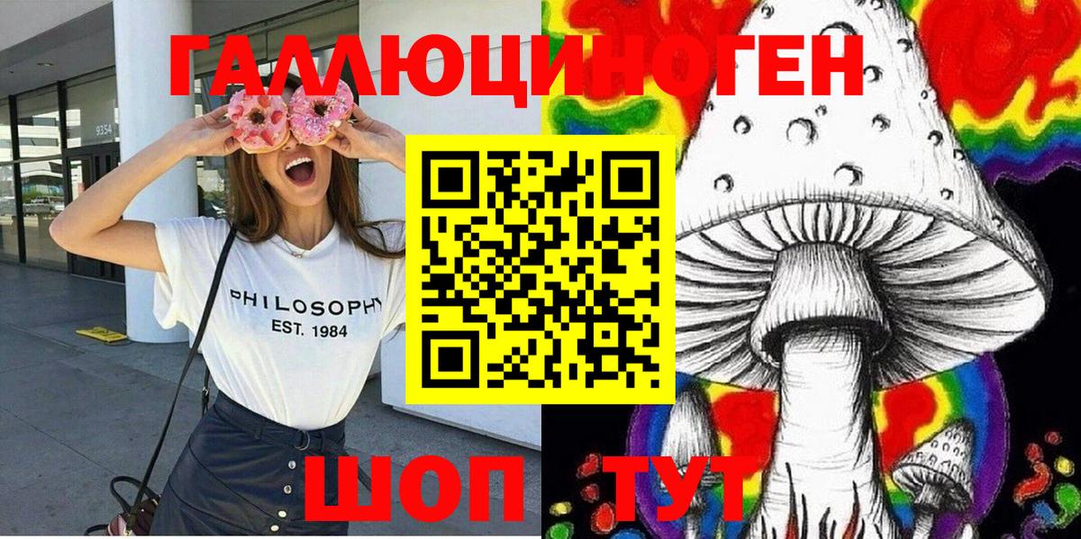 Галлюциногенные грибы Cubensis Армавир